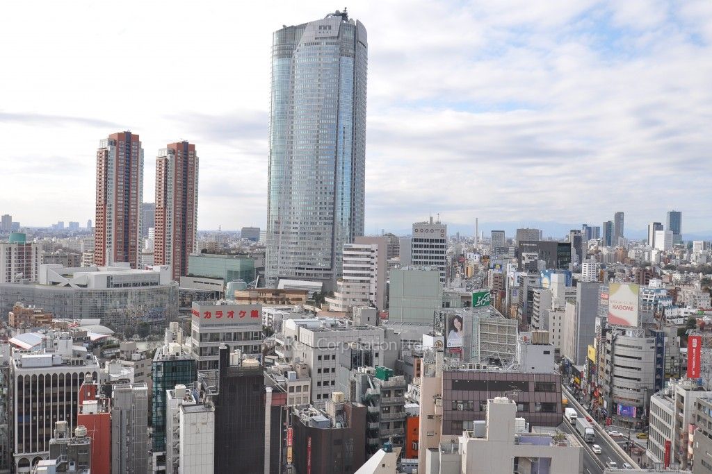 THE ROPPONGI TOKYO CLUB RESIDENCEの写真 眺望