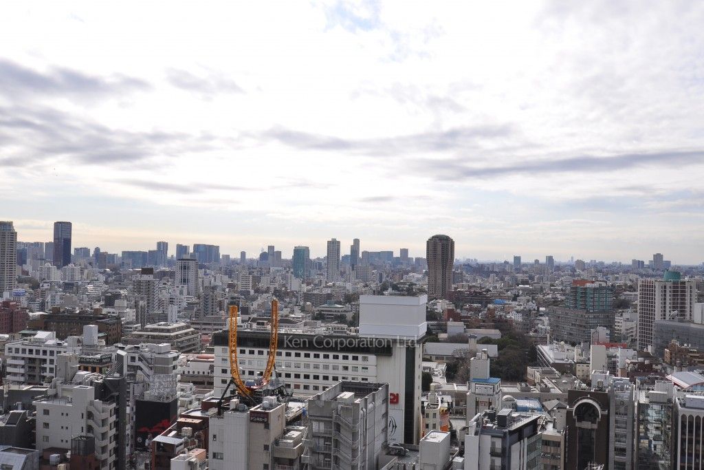 THE ROPPONGI TOKYO CLUB RESIDENCEの写真 眺望