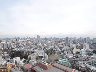 コンフォリア新宿イーストサイドタワーの写真 眺望（居室から）