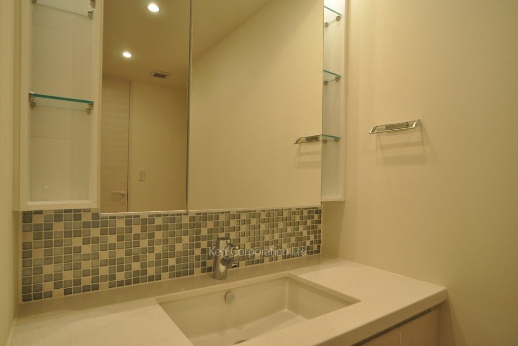 コンフォリア新宿イーストサイドタワーの写真 パウダールーム