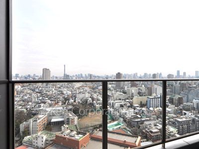 コンフォリア新宿イーストサイドタワーの写真 バルコニー