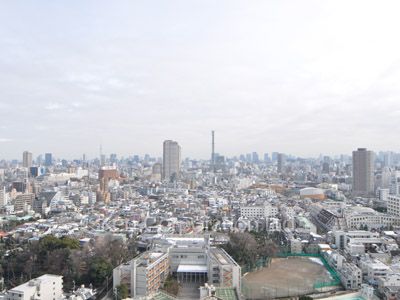 コンフォリア新宿イーストサイドタワーの写真 眺望（居室から）