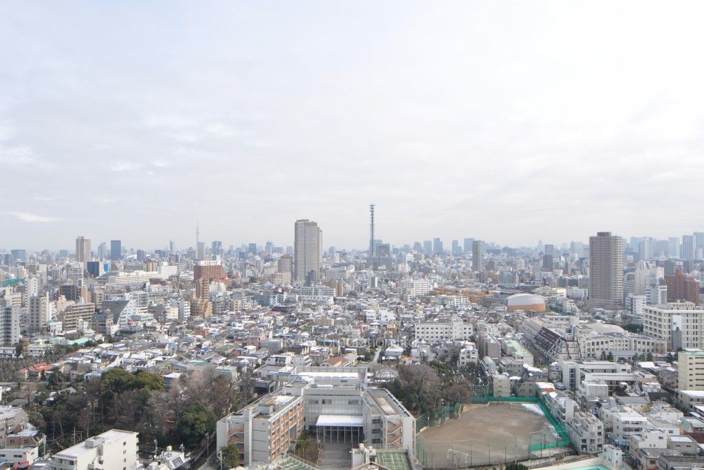 コンフォリア新宿イーストサイドタワーの写真 眺望（居室から）