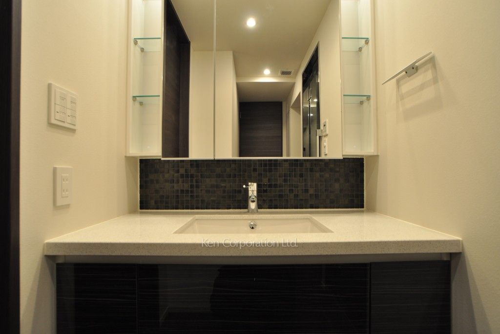 コンフォリア新宿イーストサイドタワーの写真 パウダールーム