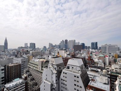 コンフォリア新宿イーストサイドタワーの写真 眺望（居室から）
