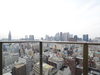 コンフォリア新宿イーストサイドタワーの写真 バルコニー