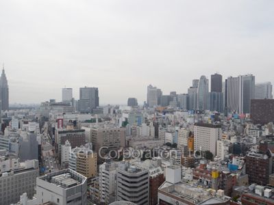 コンフォリア新宿イーストサイドタワーの写真 眺望（居室から）