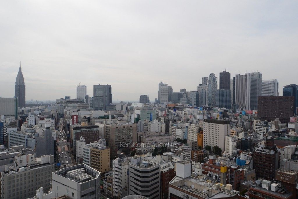 コンフォリア新宿イーストサイドタワーの写真 眺望（居室から）