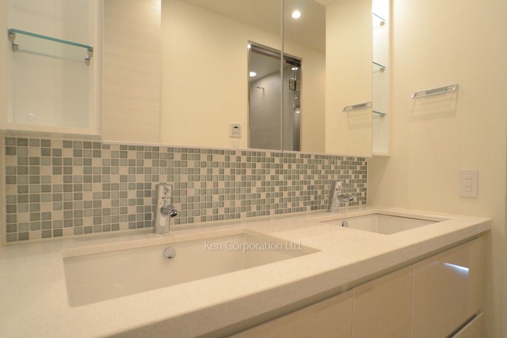 コンフォリア新宿イーストサイドタワーの写真 パウダールーム