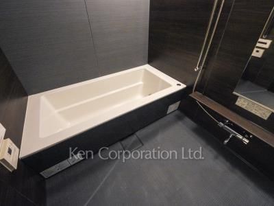 コンフォリア新宿イーストサイドタワーの写真 バスルーム