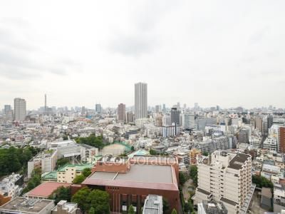 コンフォリア新宿イーストサイドタワーの写真 眺望（居室から）