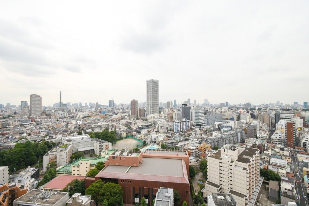 コンフォリア新宿イーストサイドタワーの写真 眺望（居室から）