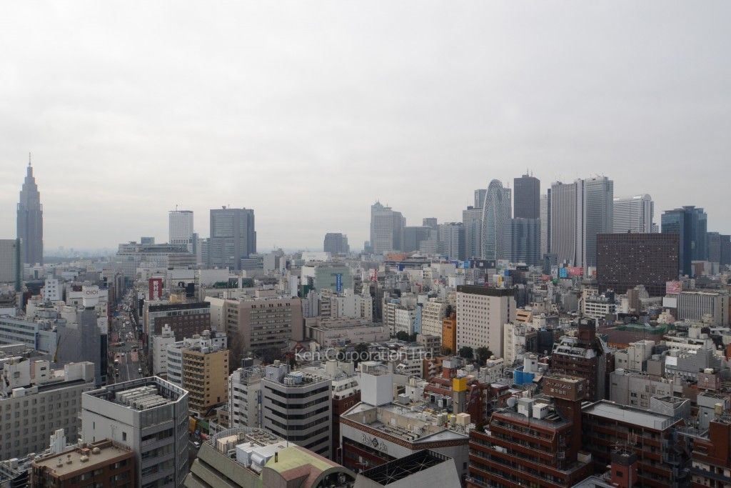 コンフォリア新宿イーストサイドタワーの写真 眺望（居室から）