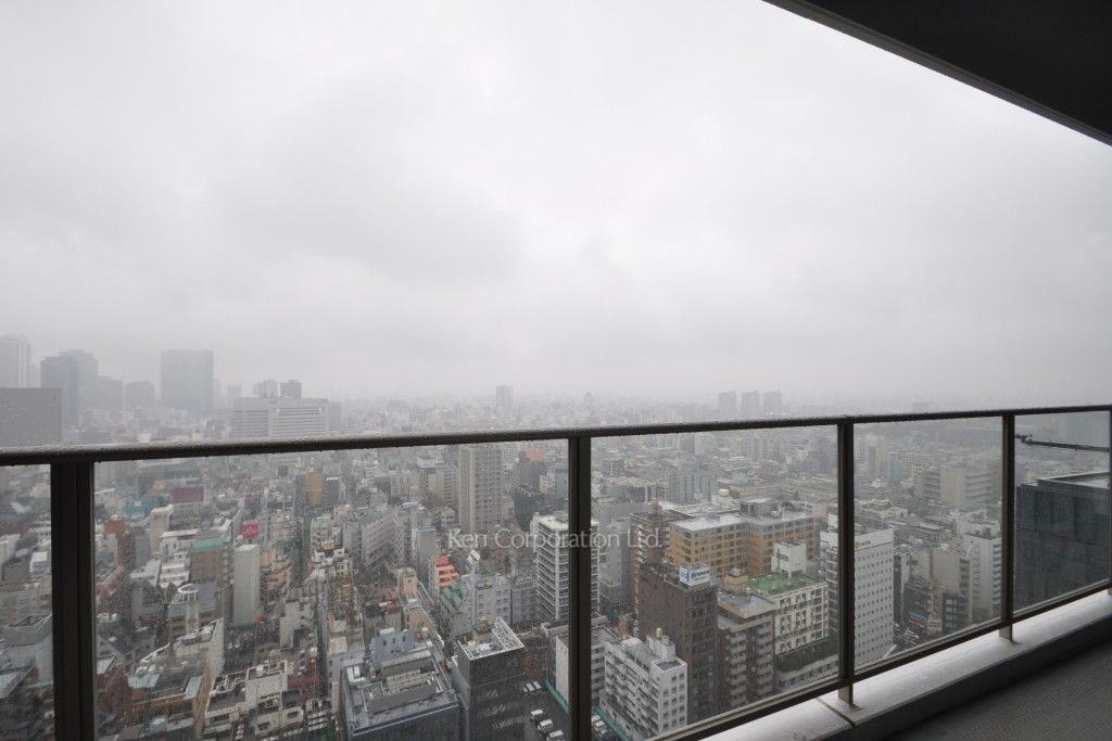 コンフォリア新宿イーストサイドタワーの写真 バルコニー