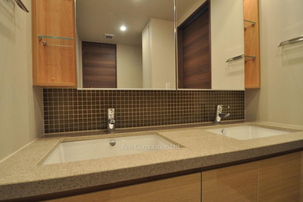 コンフォリア新宿イーストサイドタワーの写真 パウダールーム