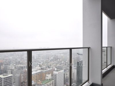 コンフォリア新宿イーストサイドタワーの写真 バルコニー