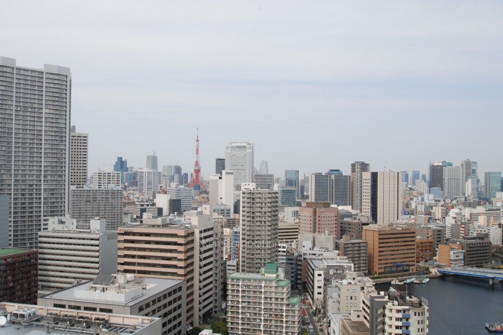 ベルファース芝浦タワーの写真 眺望（居室から）