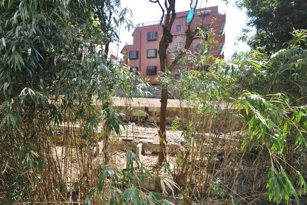 Roppongi Residencesの写真 眺望（居室から）