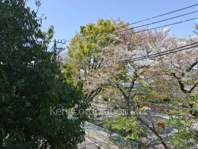 眺望（居室から）