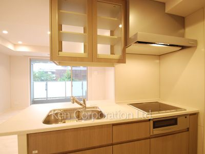 パークフラッツ新宿イーストサイドの写真 キッチン