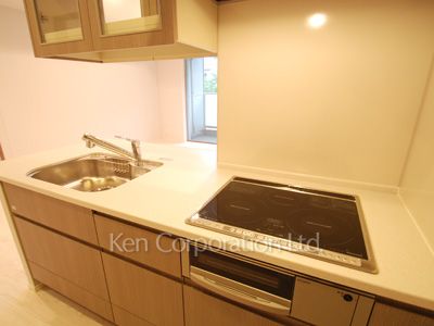 パークフラッツ新宿イーストサイドの写真 キッチン