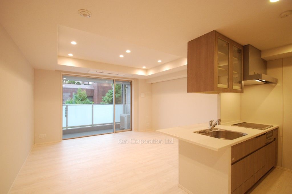 パークフラッツ新宿イーストサイドの写真 リビングダイニング