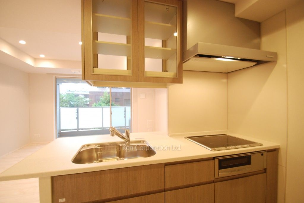 パークフラッツ新宿イーストサイドの写真 キッチン