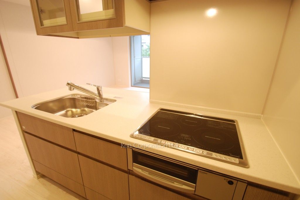 パークフラッツ新宿イーストサイドの写真 キッチン