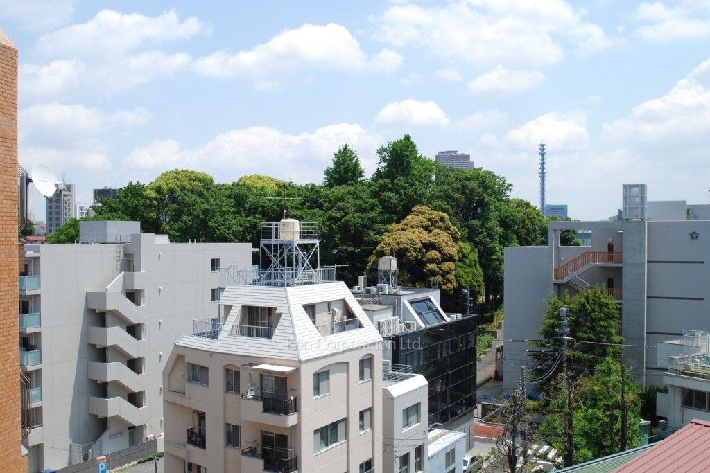 パークフラッツ新宿イーストサイドの写真 眺望（居室から）