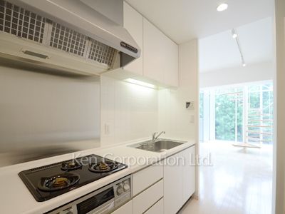 パークレジデンス南青山の写真 キッチン