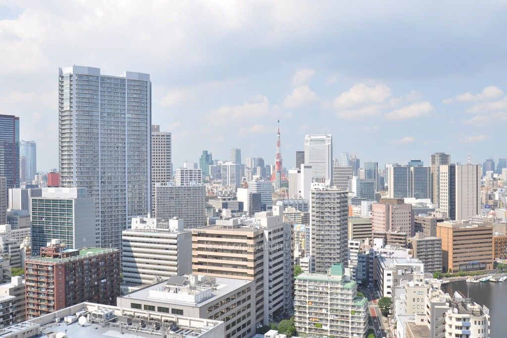 ベルファース芝浦タワーの写真 眺望