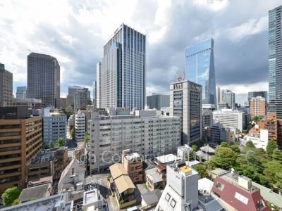 ザ・パークハウス愛宕虎ノ門の写真 眺望（居室から）