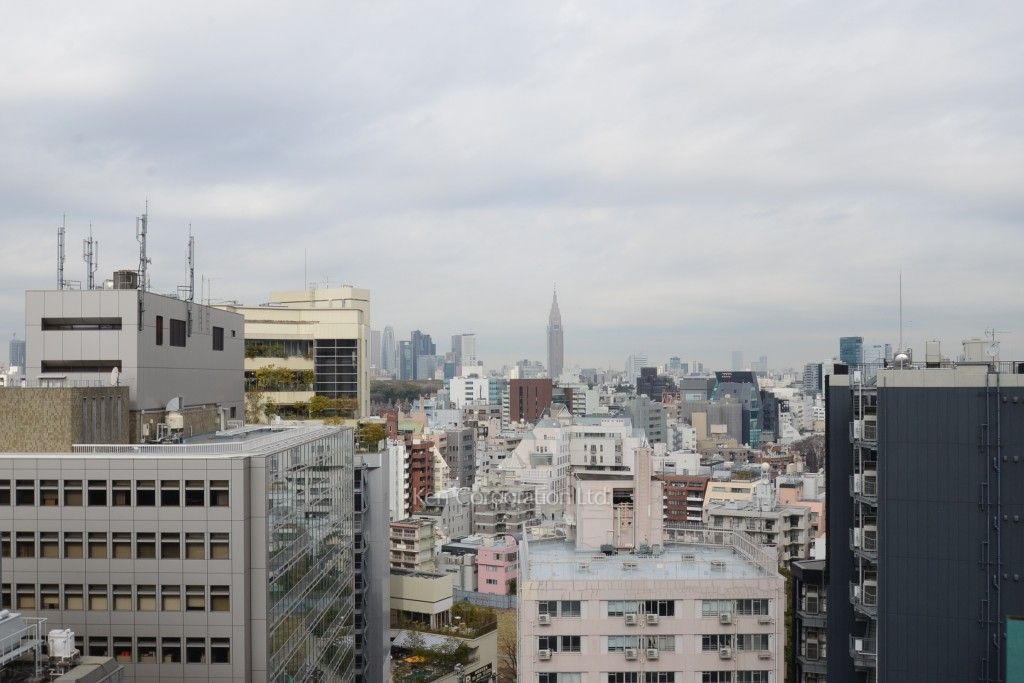 テラス渋谷美竹の写真 眺望