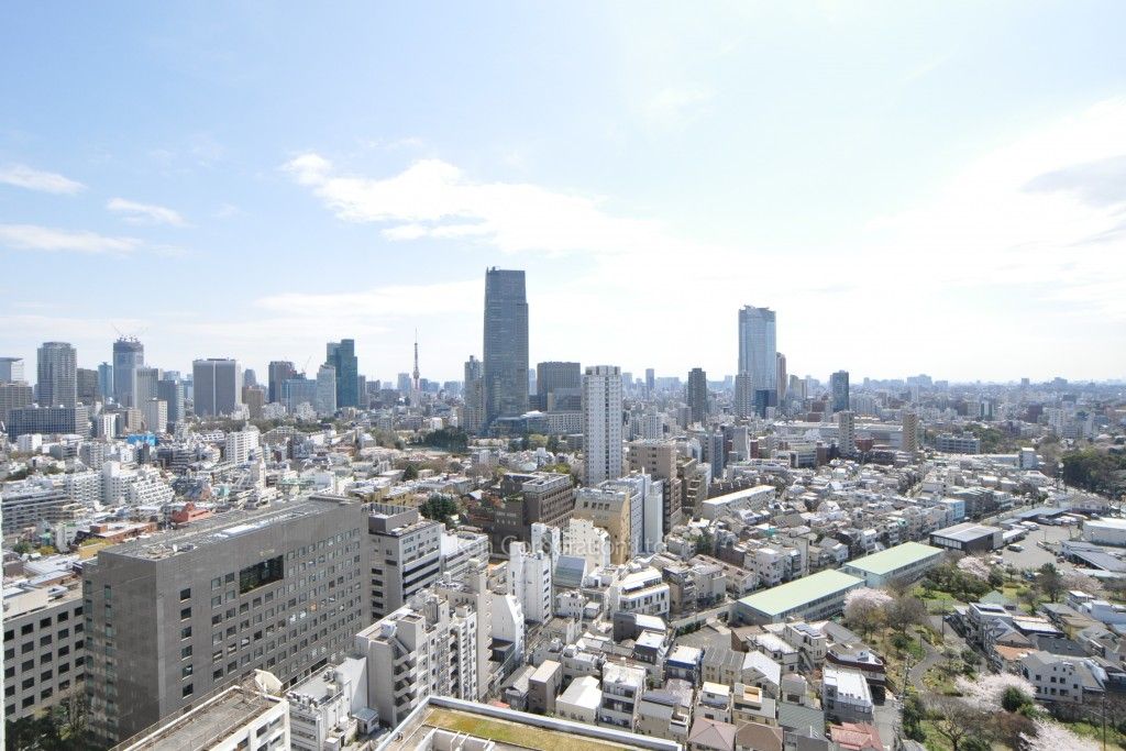 パークアクシス青山一丁目タワーの写真 眺望