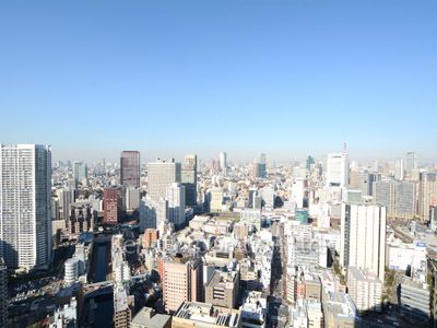 芝浦アイランド グローヴタワーの写真 眺望