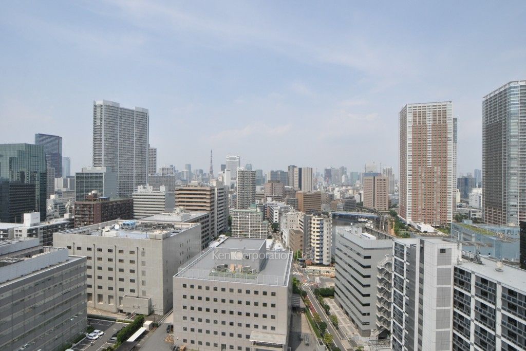 ベルファース芝浦タワーの写真 眺望（居室から）