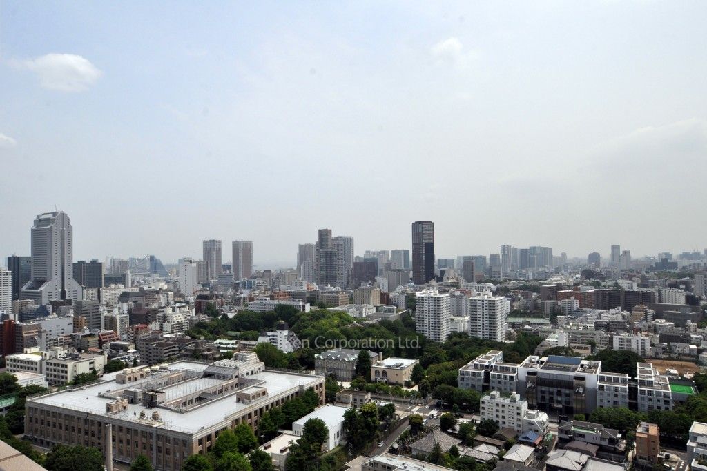 パークコート麻布十番ザ・タワーの写真 眺望