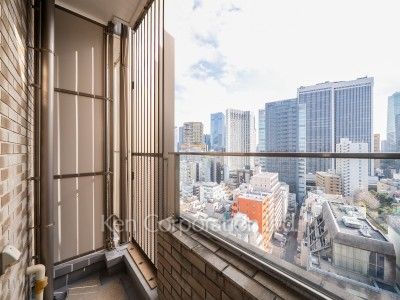 パークハウス赤坂氷川の写真 バルコニー