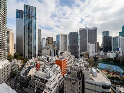 パークハウス赤坂氷川の写真 眺望（居室から）