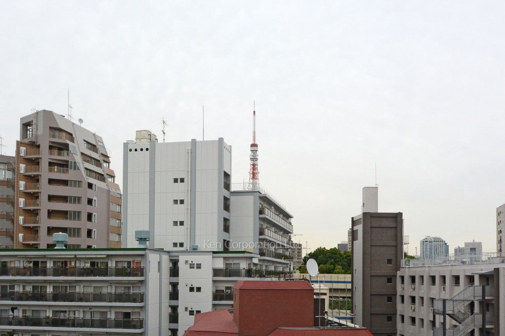 パークハウス麻布鳥居坂の写真 眺望