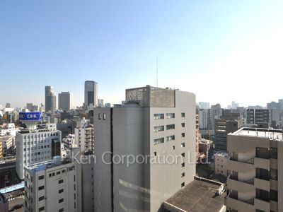 パークホームズ南麻布ザレジデンスの写真 眺望