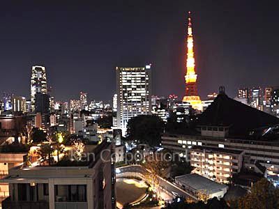 六本木ビュータワーの写真 眺望（居室から）