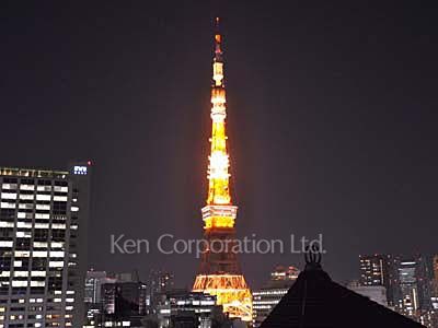 六本木ビュータワーの写真 眺望（居室から）