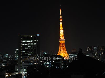 六本木ビュータワーの写真 眺望