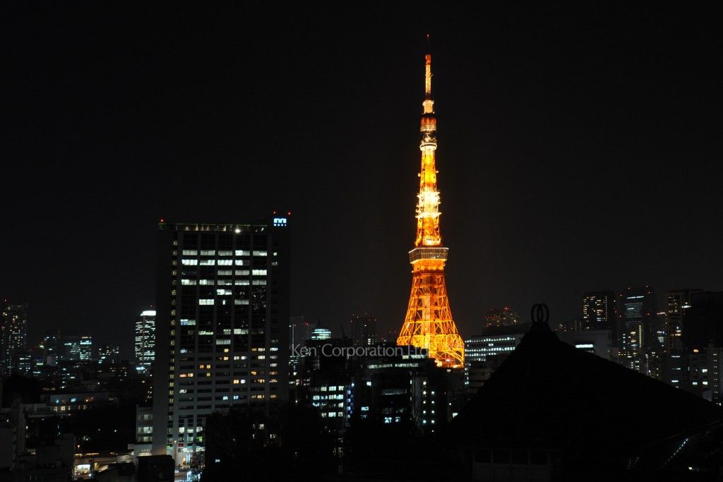 六本木ビュータワーの写真 眺望