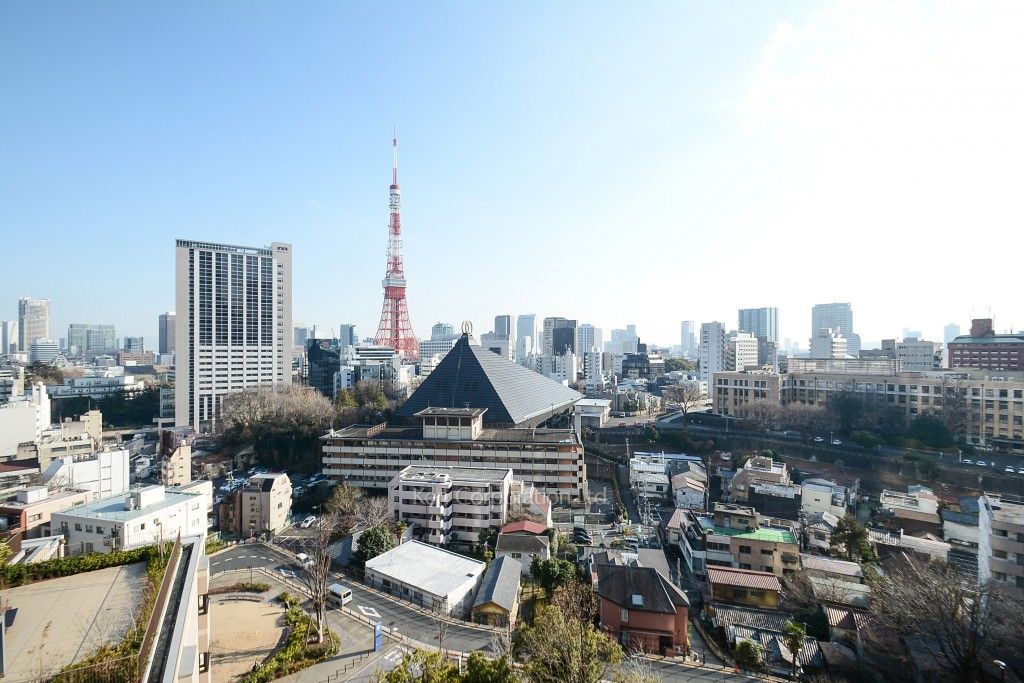 六本木ビュータワーの写真 眺望