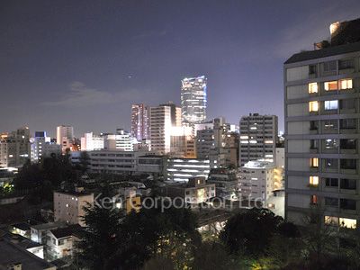 六本木ビュータワーの写真 眺望（居室から）