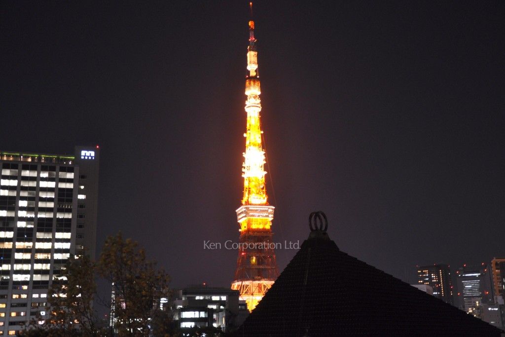 六本木ビュータワーの写真 眺望（居室から）