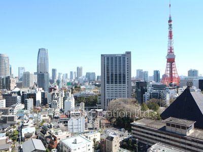 六本木ビュータワーの写真 眺望
