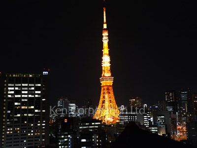 六本木ビュータワーの写真 眺望